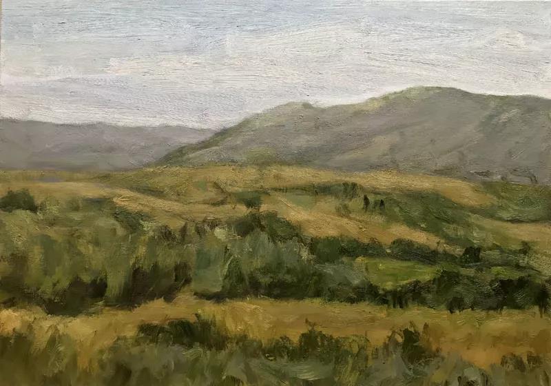 乌兰布统之一  布面油画  50X70cm  2018年.jpg